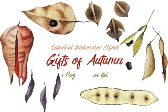 Elevating Digital Design with Botanical Watercolor Clipart Autumn Gift Assets