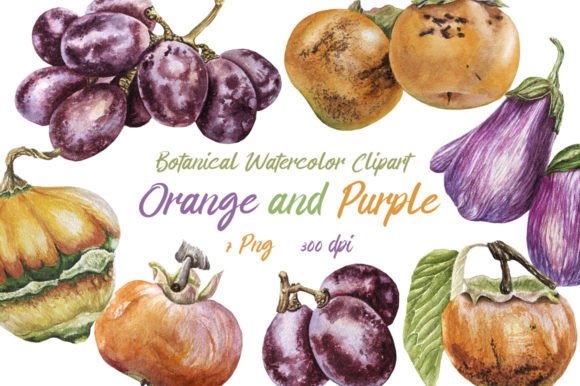 Evaluating Watercolor Clipart Orange and Purple for Creative Projects